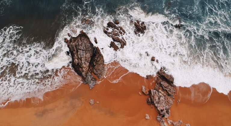 Impact of climate change on human health